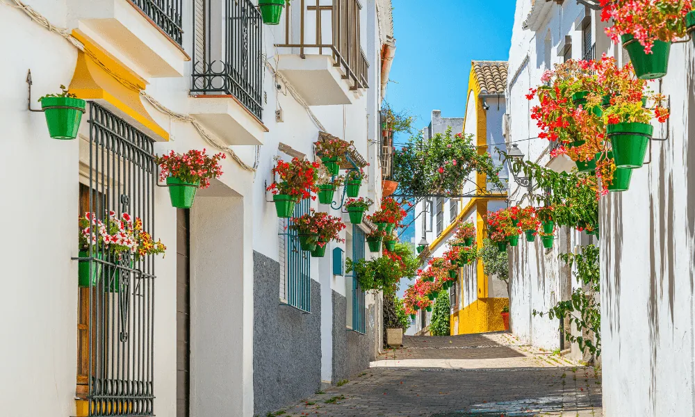 Investing in Estepona
